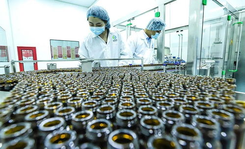 科技赋能植物工厂 张掖农特产品提质增效的新引擎