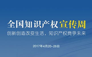 港湾有巢 专注技术产品开发，驱动互联网创新解决方案