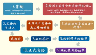 优宁维公司重磅推出抗体相关实验技术服务体系，助力科研精准高效